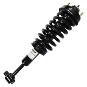 Strut Assembly Front Driver Side/Passenger Side Ford Explorer Limited 2002-2003 -1336330 , 11160