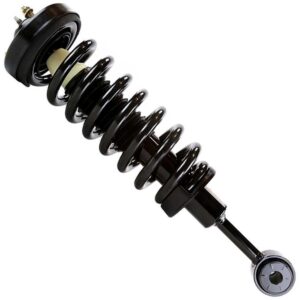 Strut Assembly Front Driver Side/Passenger Side Ford F150 2004-2008 4Wd , 11204