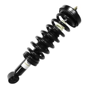 Strut Assembly Front Driver Side/Passenger Side Ford F150 2004-2008 Rwd F-150 , 11206