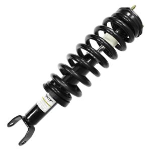 Strut Assembly Front Driver Side/Passenger Side Dodge Ram 1500 2006-2008 Ram 1500 Excludes Trx4 Or Srt-10 , 11610