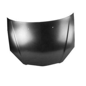 2002-2006 Acura Rsx Hood , Ac1230111 - Hunt Parts
