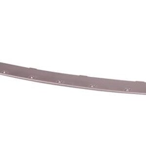Bumper Front Bmw X5 2011-2013 Protector Without M (Bumper Lower Mldg) , BM1009100
