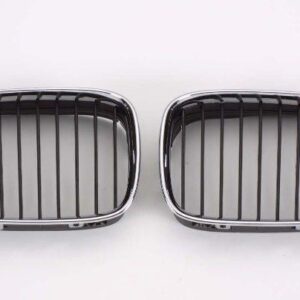 Grille Driver Side Bmw 5 Series 1997-2003 Chrome/Black , BM1200117