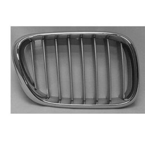 Grille Passenger Side Bmw X5 2000-2003 Chrome/Titan Color , BM1200155