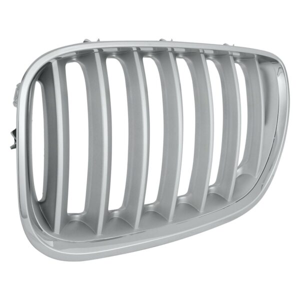 Grille Driver Side Bmw X5 2004-2006 Chrome/Silver With Titanium , BM1200159 - Image 3