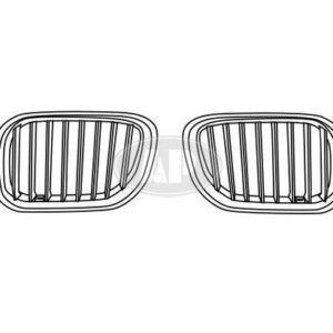 Grille Driver Side Bmw X5 2004-2006 Chrome/Silver With Titanium , BM1200159