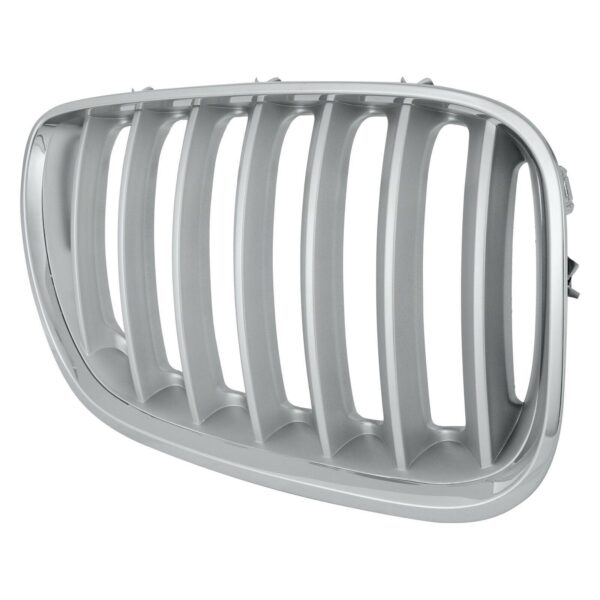 Grille Passenger Side Bmw X5 2004-2006 Chrome/Silver With Titanium , BM1200160 - Image 3