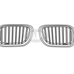Grille Passenger Side Bmw X5 2004-2006 Chrome/Silver With Titanium , BM1200160