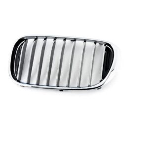 Grille Driver Side Bmw M760I 2017-2019 Chrome Without Night Vision With M-Pkg , BM1200294