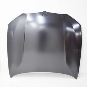 2019-2020 Bmw 330I Hood Aluminium , Bm1230150