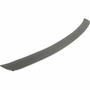 Bumper Step Pad Front Dodge Ram 1500 2002 , CH1019101