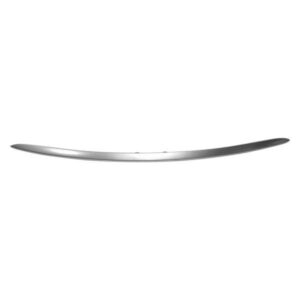 Bumper Moulding Rear Center Chrysler 300 2015-2021 Satin Platinum , CH1144112