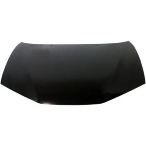 1999-2004 Chrysler 300 Hood M Model , Ch1230210