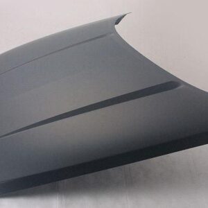 2005-2007 Dodge Dakota Hood , Ch1230240