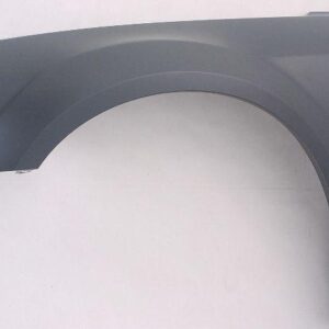 Fender Front Driver Side Dodge Magnum 2005-2007 Capa , CH1240246C