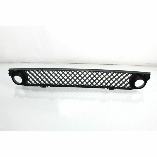 Grille Lower Chevrolet Trailblazer 2006-2009 , GM1036140 - Image 4