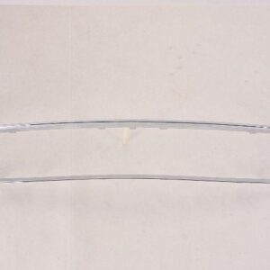 Grille Moulding Lower Chevrolet Malibu Classic 2008 Exclude Ss Model Satin Nickel , GM1210112
