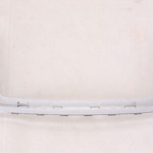Grille Moulding Saturn Vue 2006-2007 Chrome , GM1210113