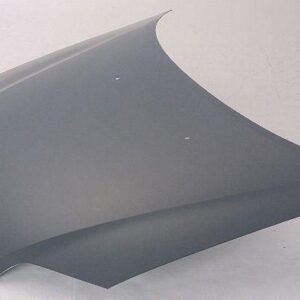 2005-2006 Pontiac Wave Sedan Hood , Gm1230336