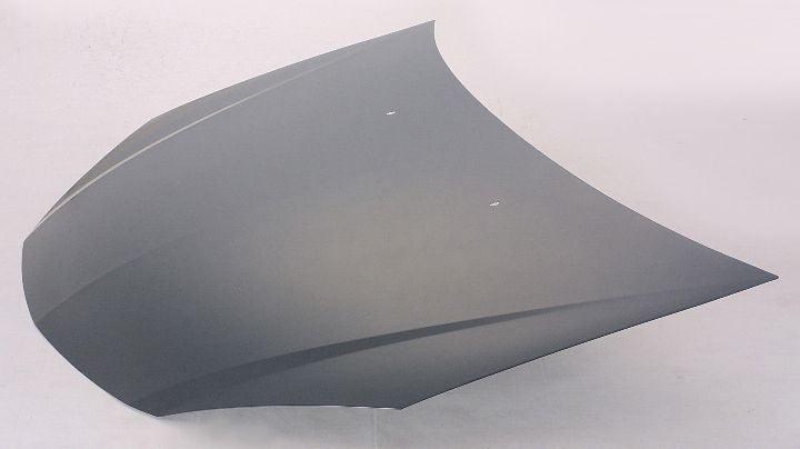 2005-2010 Pontiac G6 Hood , Gm1230337