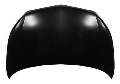 2009-2010 Pontiac Vibe Hood Capa , Gm1230384C