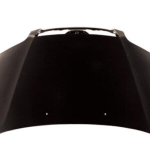 1995-1998 Honda Odyssey Hood , Ho1230123