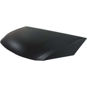 2008-2010 Honda Odyssey Hood Capa , Ho1230161C