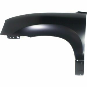 Fender Front Driver Side Hyundai Santa Fe 2001-2006 With Moulding Hole , HY1240119