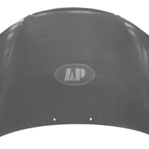2005-2009 Kia Spectra Hood , Ki1230117