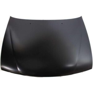 1995-1998 Nissan Sentra Hood , Ni1230146
