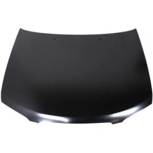 2000-2003 Nissan Sentra Hood , Ni1230155