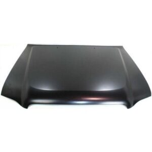1998-2004 Nissan Pathfinder Hood , Ni1230158
