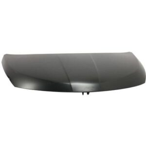 2003-2006 Nissan Murano Hood Capa , Ni1230164C