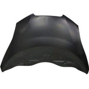 2011-2012 Nissan Leaf Hood Aluminum Capa , Ni1230186C