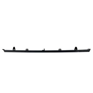 2021-2024 Toyota Camry Bumper Moulding Front Lower Matte , TO1044126