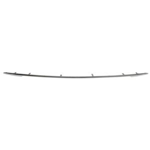 2021-2025 Toyota Sienna Bumper Molding Rear Satin Plastic , TO1144108