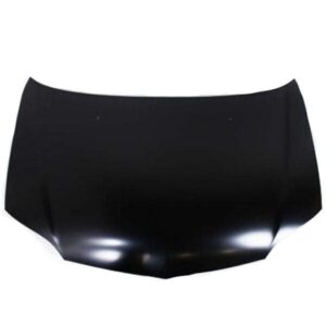 2000-2002 Toyota Echo Hood Sedan , To1230180