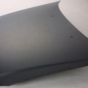 2000-2004 Toyota Avalon Hood , To1230181