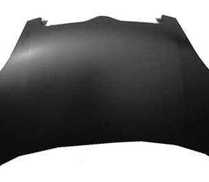 2004-2005 Toyota Echo Hatchback Hood , To1230215
