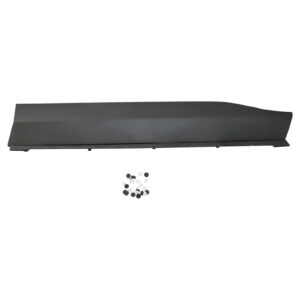 2019-2023 Toyota Rav4 Door Molding Front Passenger Side , TO1305111