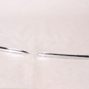 Grille Lower Moulding Chrome Passenger Side Volkswagen Jetta Wagon 2009 (Fog Lamp Cover Mldg) , VW1213100
